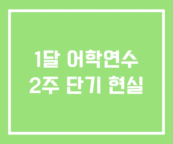 1달 어학연수 2주 단기 현실