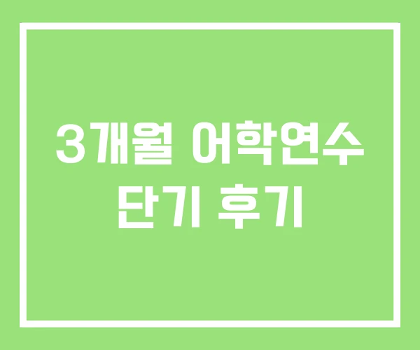 3개월 어학연수 단기 후기