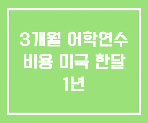 3개월 어학연수 비용 미국 한달 1년
