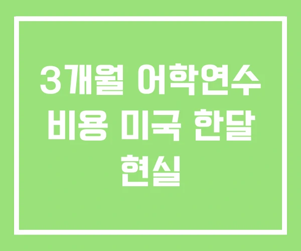 3개월 어학연수 비용 미국 한달 현실