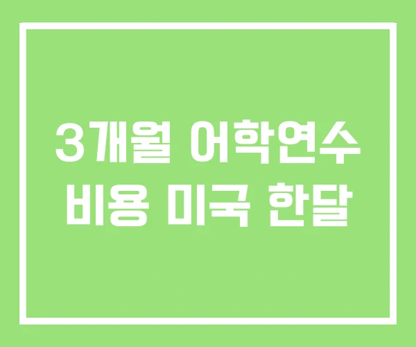 3개월 어학연수 비용 미국 한달