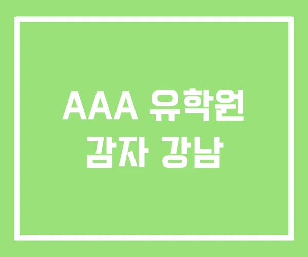 AAA 유학원 감자 강남 AAA 유학원 감자 강남