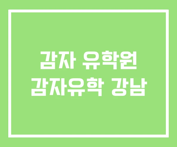 감자 유학원 감자유학 강남