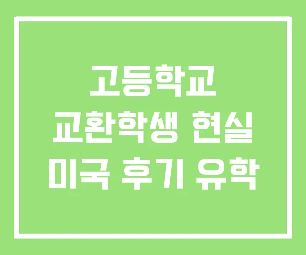 고등학교 교환학생 현실 미국 후기 유학 고등학교 교환학생 현실 미국 후기 유학