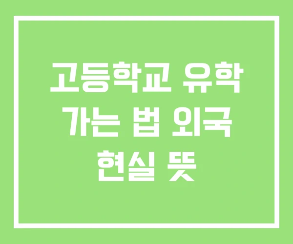고등학교 유학 가는 법 외국 현실 뜻 고등학교 유학 가는 법 외국 현실 뜻