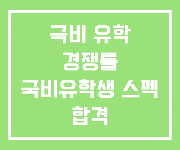 국비 유학 경쟁률 국비유학생 스펙 합격 국비 유학 경쟁률 국비유학생 스펙 합격