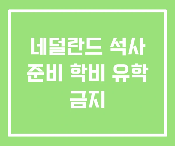 네덜란드 석사 준비 학비 유학 금지 네덜란드 석사 준비 학비 유학 금지