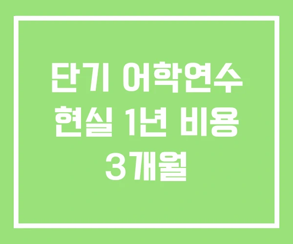 단기 어학연수 현실 1년 비용 3개월 단기 어학연수 현실 1년 비용 3개월