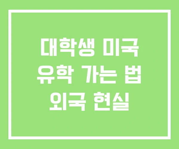대학생 미국 유학 가는 법 외국 현실 대학생 미국 유학 가는 법 외국 현실