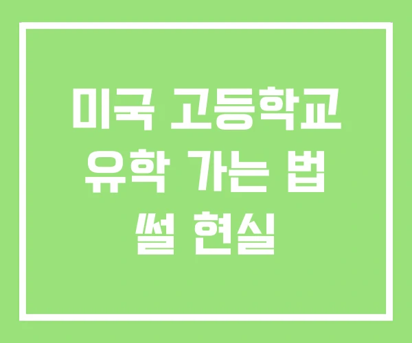 미국 고등학교 유학 가는 법 썰 현실