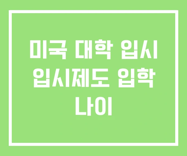 미국 대학 입시 입시제도 입학 나이 미국 대학 입시 입시제도 입학 나이