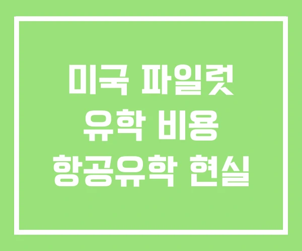 미국 파일럿 유학 비용 항공유학 현실
