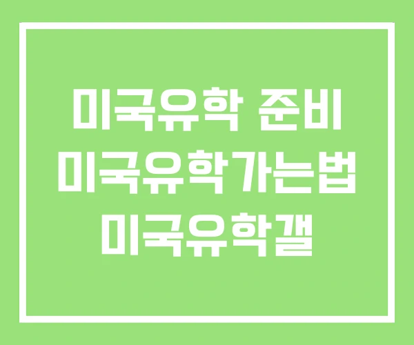 미국유학 준비 미국유학가는법 미국유학갤