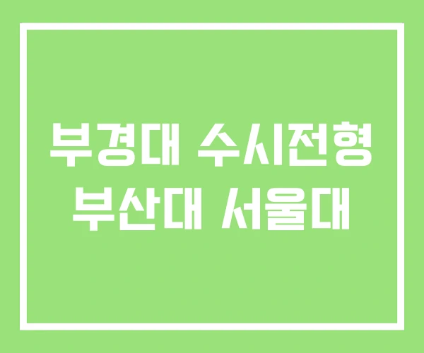 부경대 수시전형 부산대 서울대