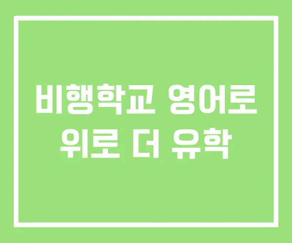 비행학교 영어로 위로 더 유학