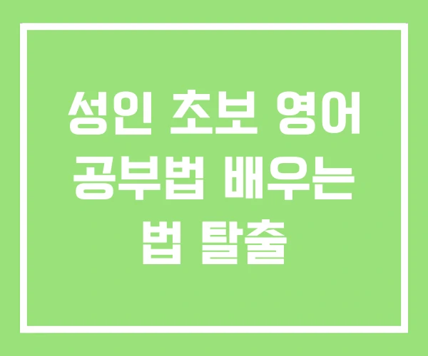 성인 초보 영어 공부법 배우는 법 탈출 성인 초보 영어 공부법 배우는 법 탈출