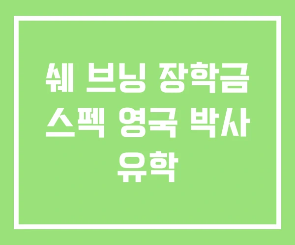 쉐 브닝 장학금 스펙 영국 박사 유학