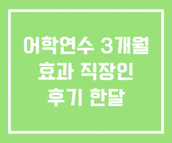 어학연수 3개월 효과 직장인 후기 한달 어학연수 3개월 효과 직장인 후기 한달