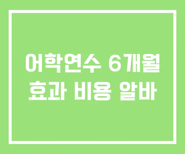 어학연수 6개월 효과 비용 알바 어학연수 6개월 효과 비용 알바