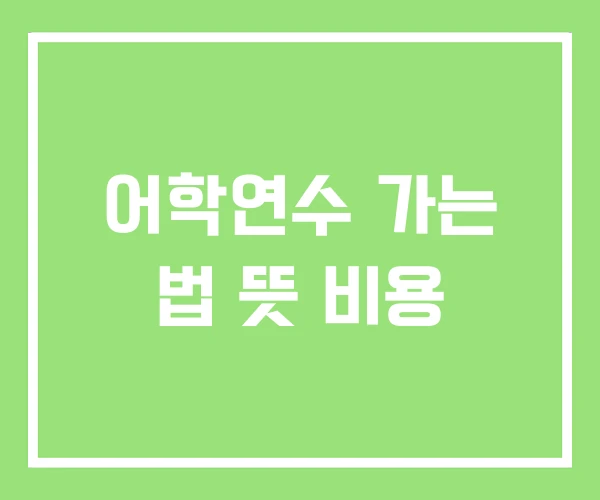 어학연수 가는 법 뜻 비용 어학연수 가는 법 뜻 비용