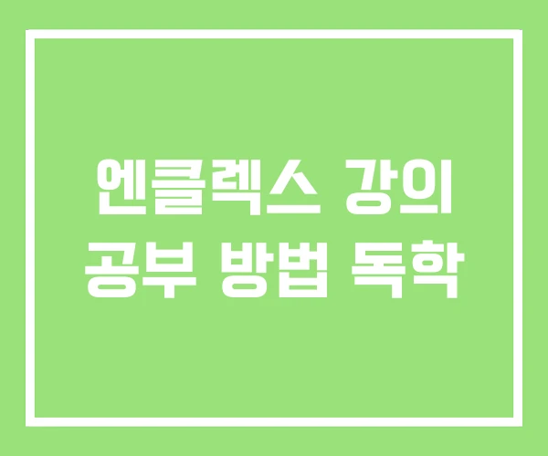 엔클렉스 강의 공부 방법 독학 엔클렉스 강의 공부 방법 독학