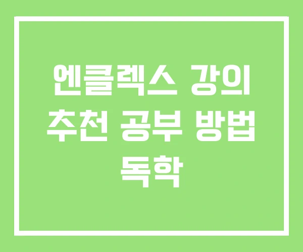 엔클렉스 강의 추천 공부 방법 독학 엔클렉스 강의 추천 공부 방법 독학