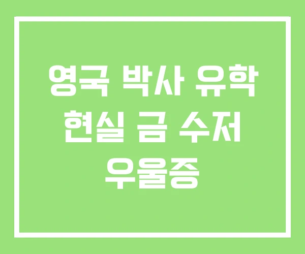 영국 박사 유학 현실 금 수저 우울증 영국 박사 유학 현실 금 수저 우울증