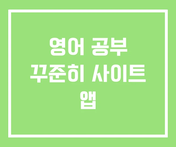 영어 공부 꾸준히 사이트 앱