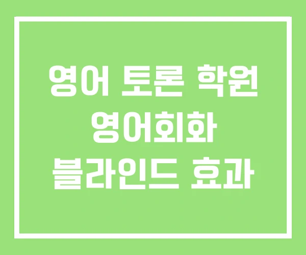 영어 토론 학원 영어회화 블라인드 효과 영어 토론 학원 영어회화 블라인드 효과