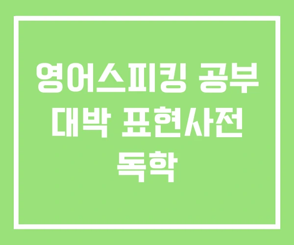 영어스피킹 공부 대박 표현사전 독학