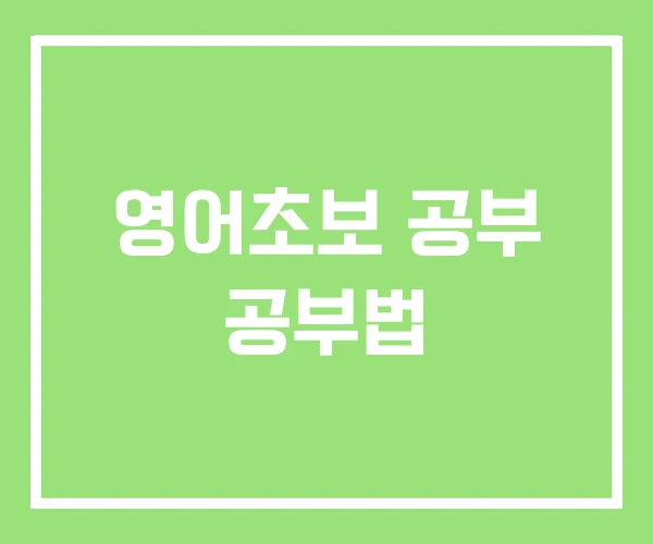 영어초보 공부 공부법 영어초보 공부 공부법