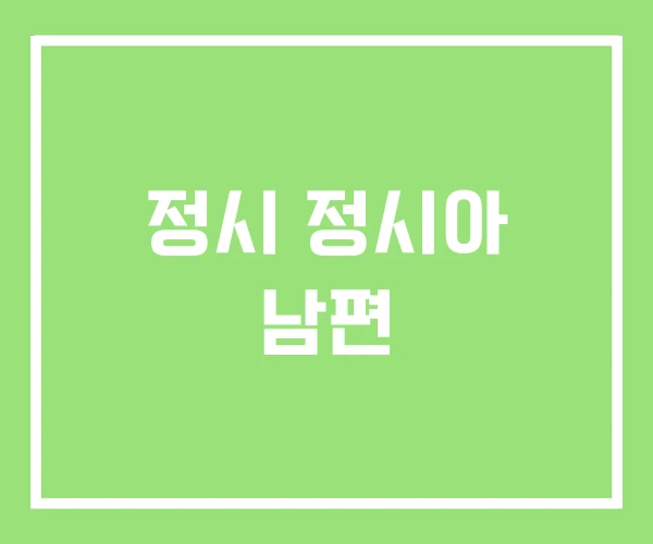 정시 정시아 남편