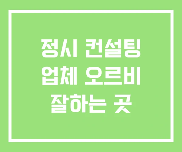 정시 컨설팅 업체 오르비 잘하는 곳 정시 컨설팅 업체 오르비 잘하는 곳