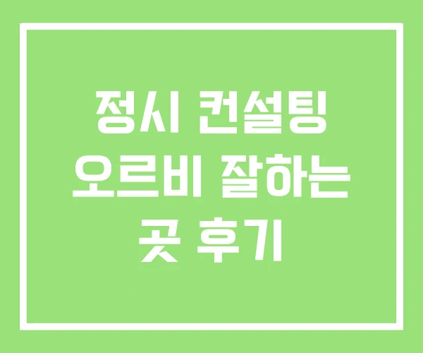 정시 컨설팅 오르비 잘하는 곳 후기 정시 컨설팅 오르비 잘하는 곳 후기