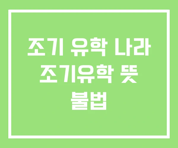 조기 유학 나라 조기유학 뜻 불법