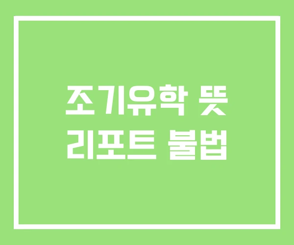 조기유학 뜻 리포트 불법 조기유학 뜻 리포트 불법