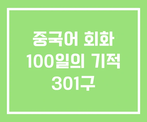 중국어 회화 100일의 기적 301구 중국어 회화 100일의 기적 301구