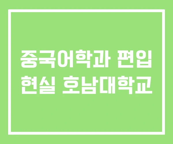 중국어학과 편입 현실 호남대학교 중국어학과 편입 현실 호남대학교
