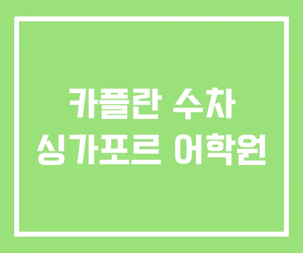 카플란 수차 싱가포르 어학원 카플란 수차 싱가포르 어학원