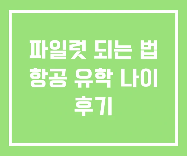 파일럿 되는 법 항공 유학 나이 후기