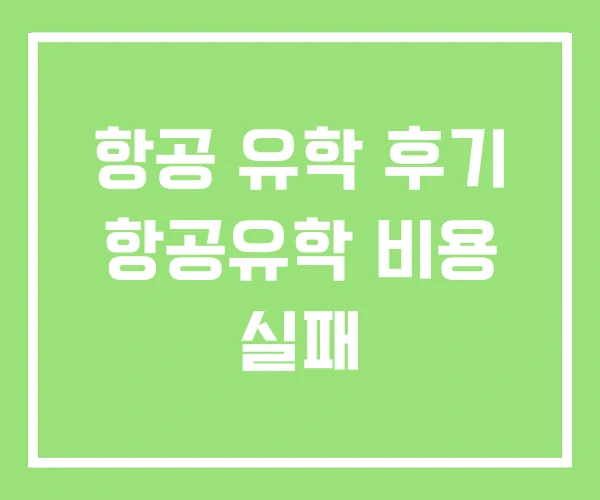 항공 유학 후기 항공유학 비용 실패 항공 유학 후기 항공유학 비용 실패