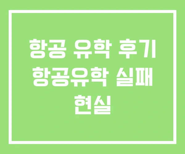 항공 유학 후기 항공유학 실패 현실 항공 유학 후기 항공유학 실패 현실