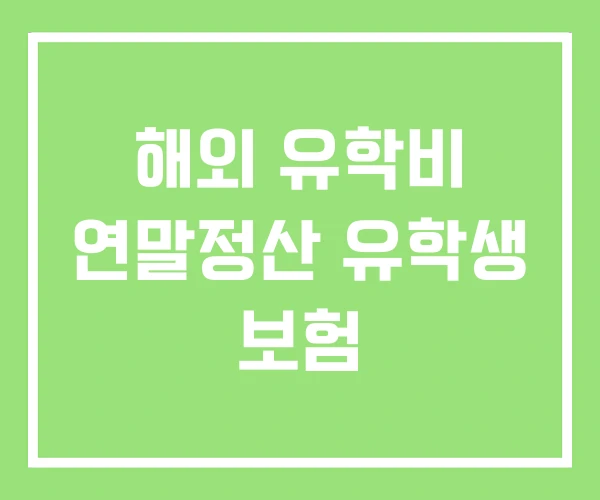 해외 유학비 연말정산 유학생 보험 해외 유학비 연말정산 유학생 보험