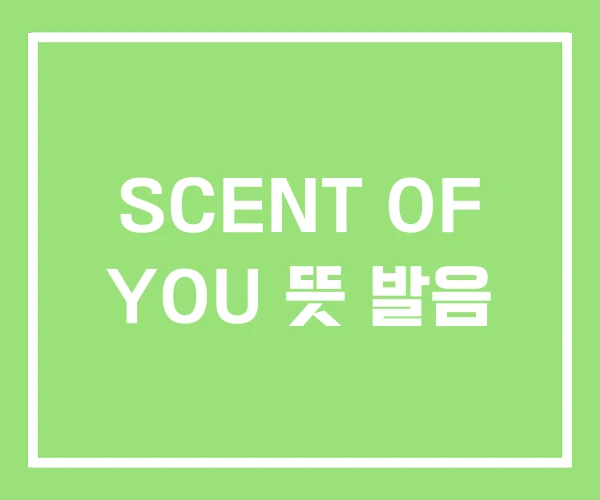 SCENT OF YOU 뜻 발음 SCENT OF YOU 뜻 발음