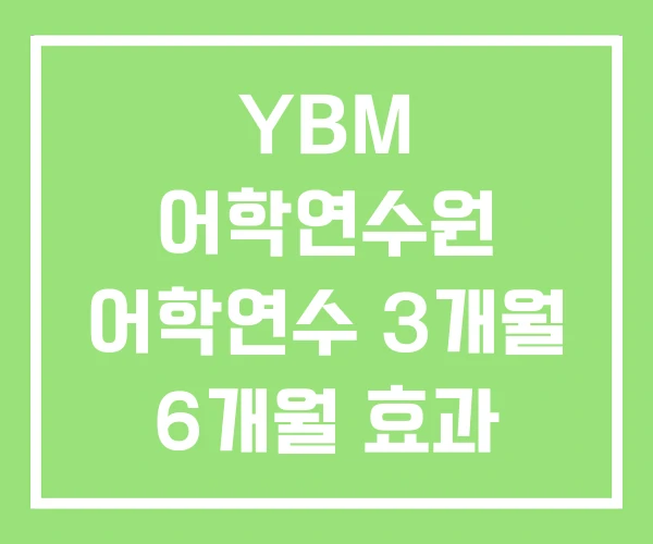 YBM 어학연수원 어학연수 3개월 6개월 효과 YBM 어학연수원 어학연수 3개월 6개월 효과