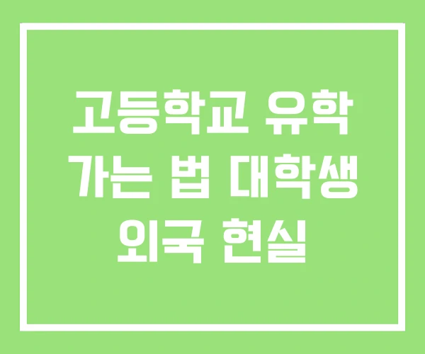 고등학교 유학 가는 법 대학생 외국 현실 고등학교 유학 가는 법 대학생 외국 현실
