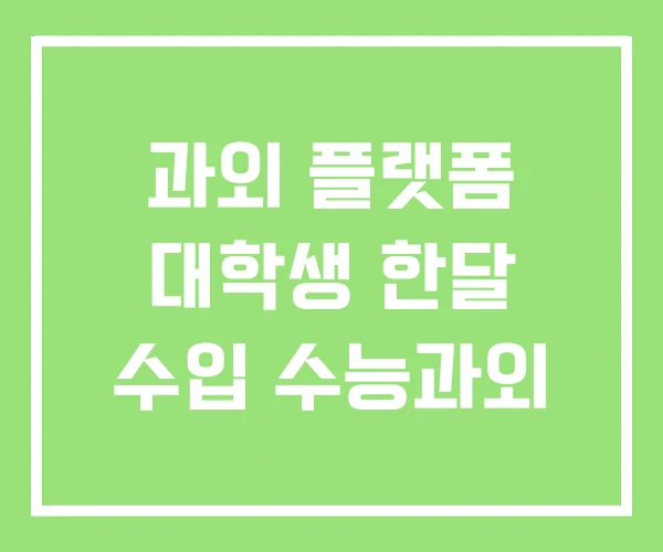 과외 플랫폼 대학생 한달 수입 수능과외