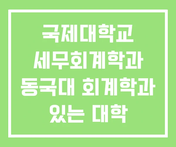 국제대학교 세무회계학과 동국대 회계학과 있는 대학