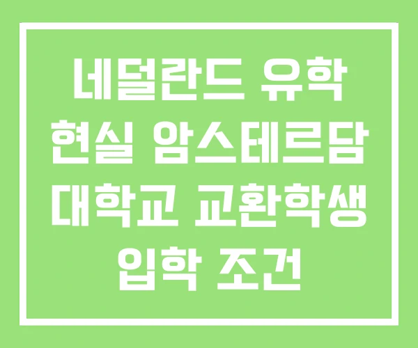 네덜란드 유학 현실 암스테르담 대학교 교환학생 입학 조건 네덜란드 유학 현실 암스테르담 대학교 교환학생 입학 조건