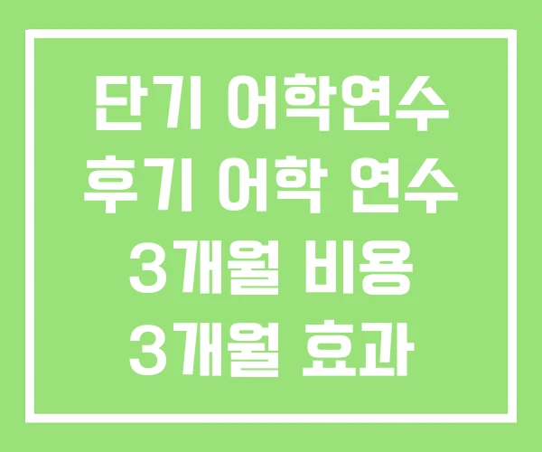 단기 어학연수 후기 어학 연수 3개월 비용 3개월 효과